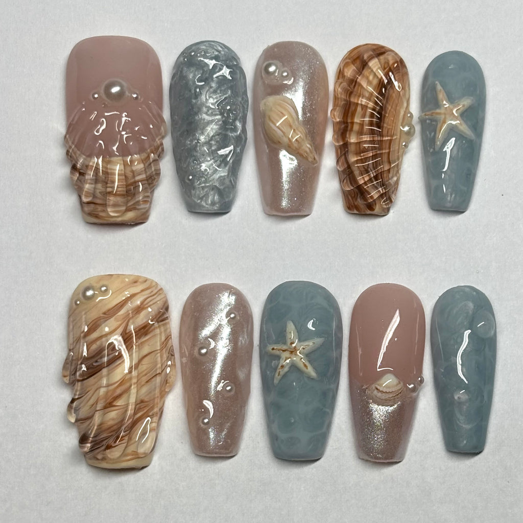 Sea shell