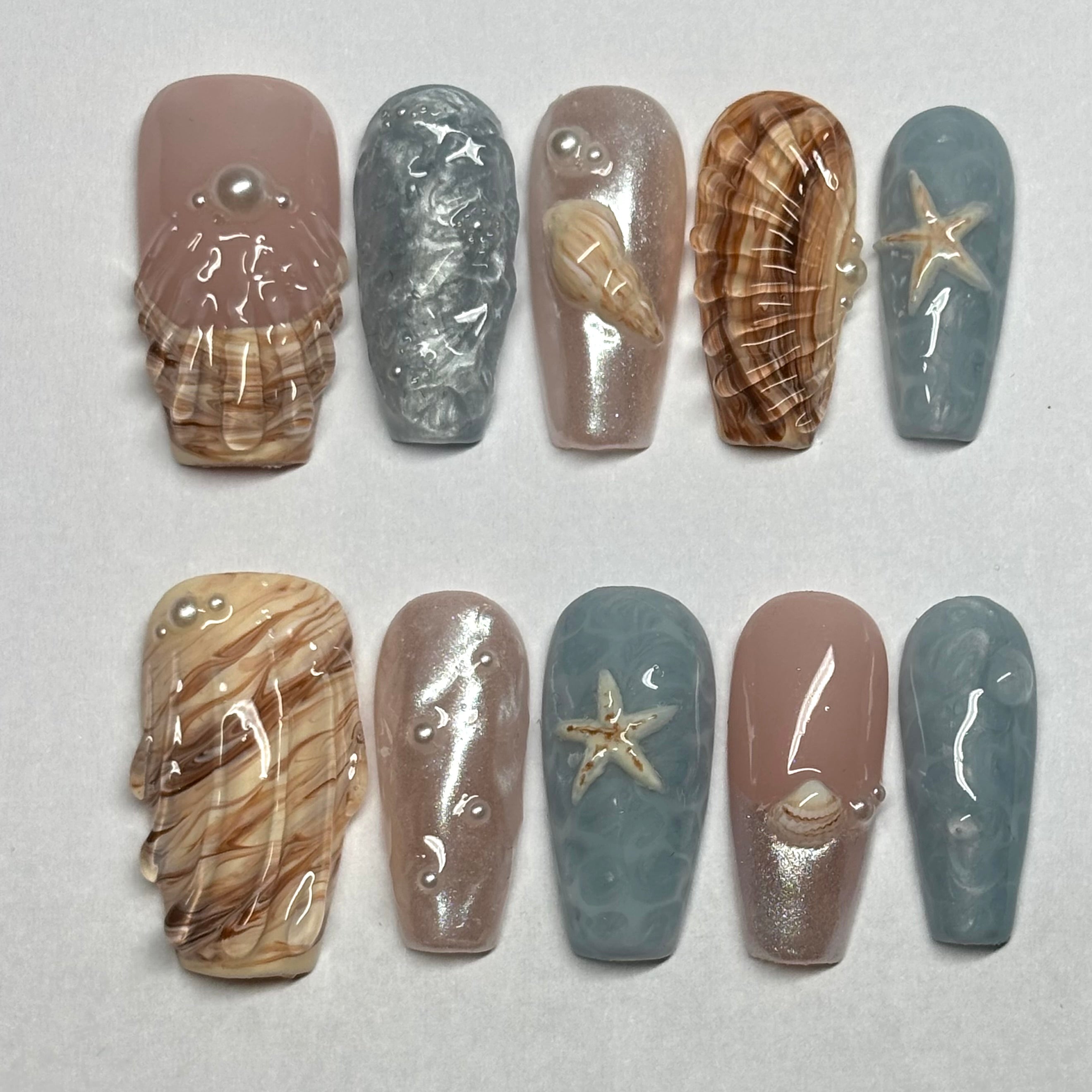 Sea shell