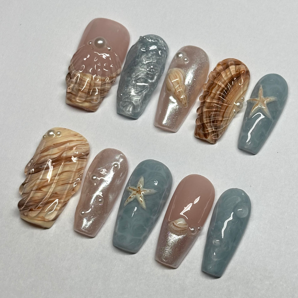 Sea shell