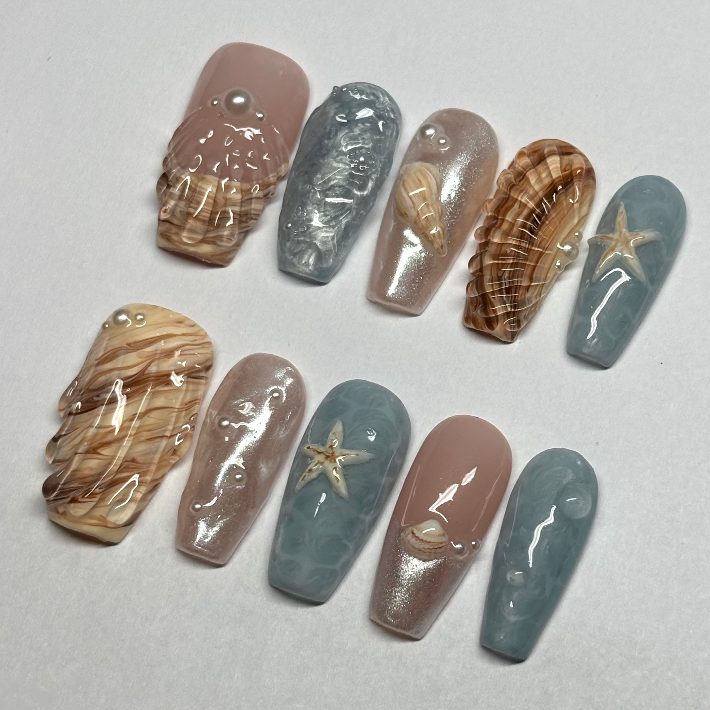 Sea shell
